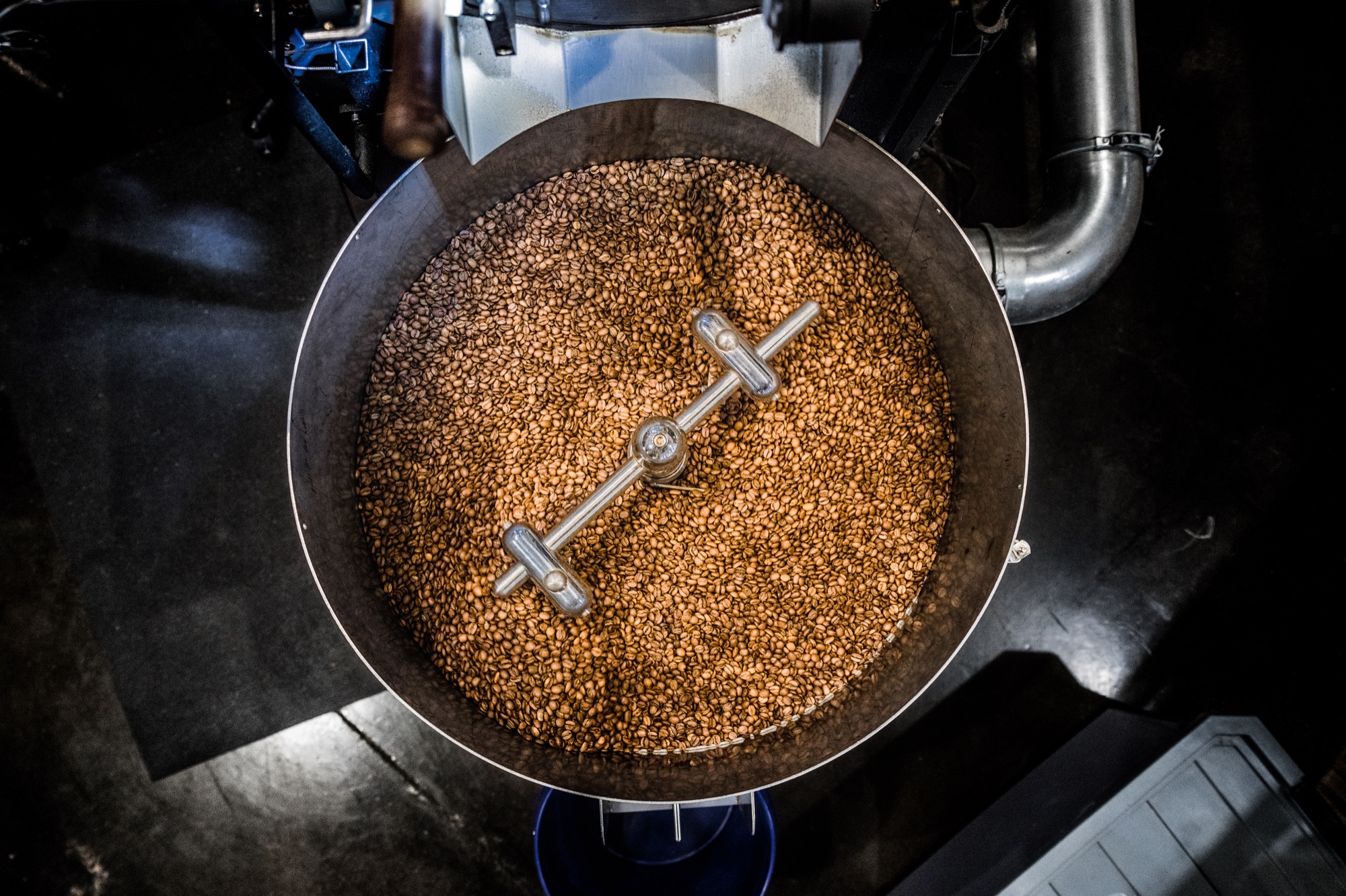 Fresh coffee beans cooling in the OpenFlame roaster